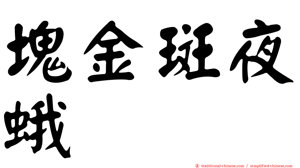 塊金斑夜蛾