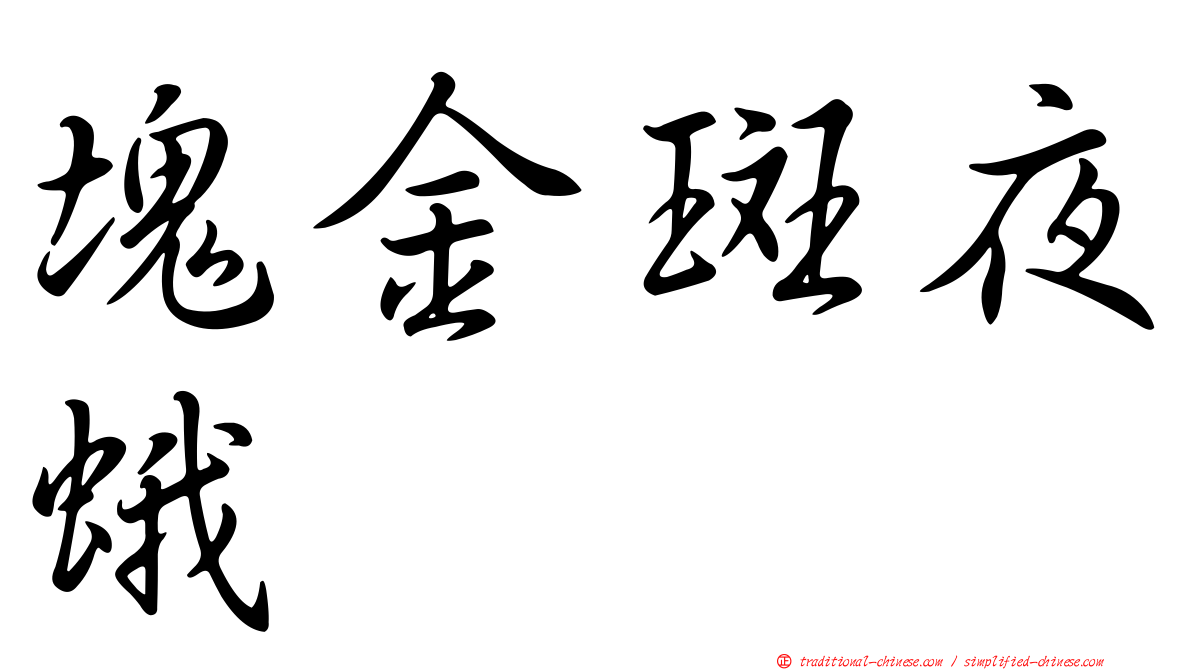 塊金斑夜蛾