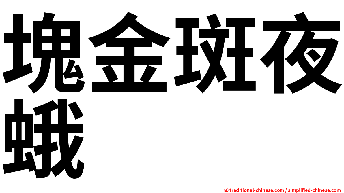 塊金斑夜蛾