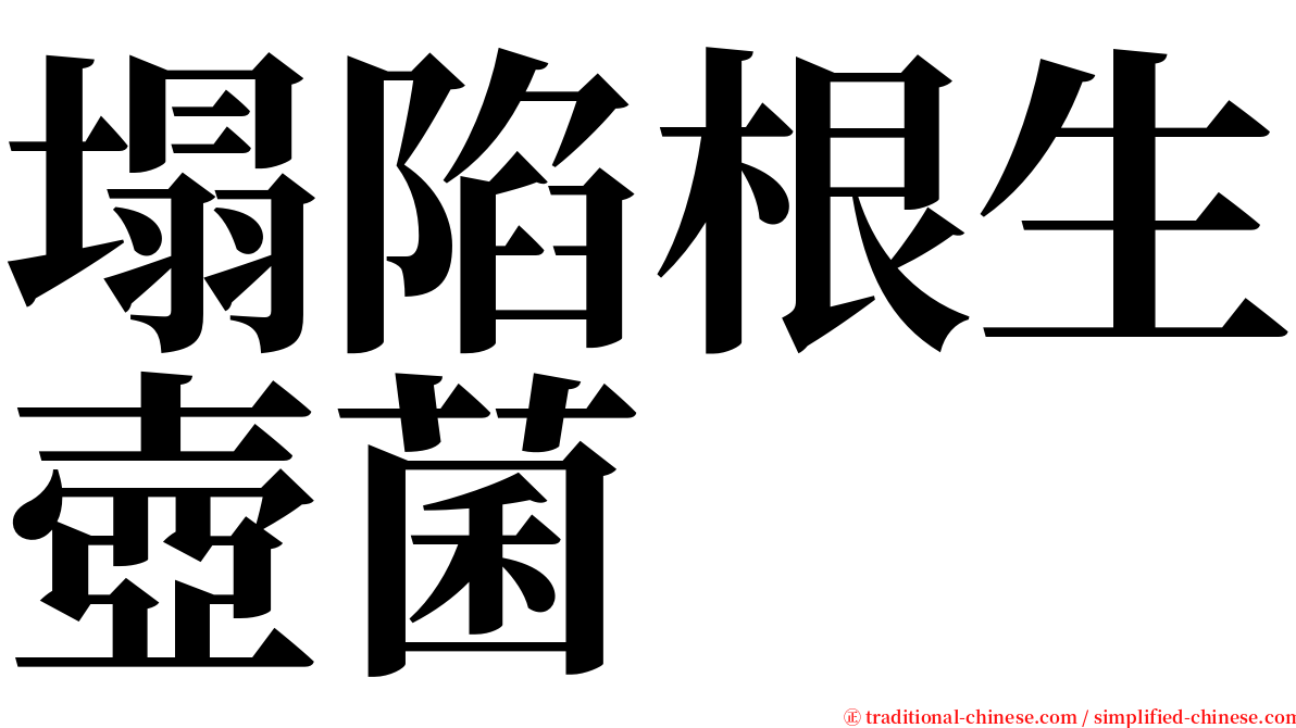 塌陷根生壺菌 serif font