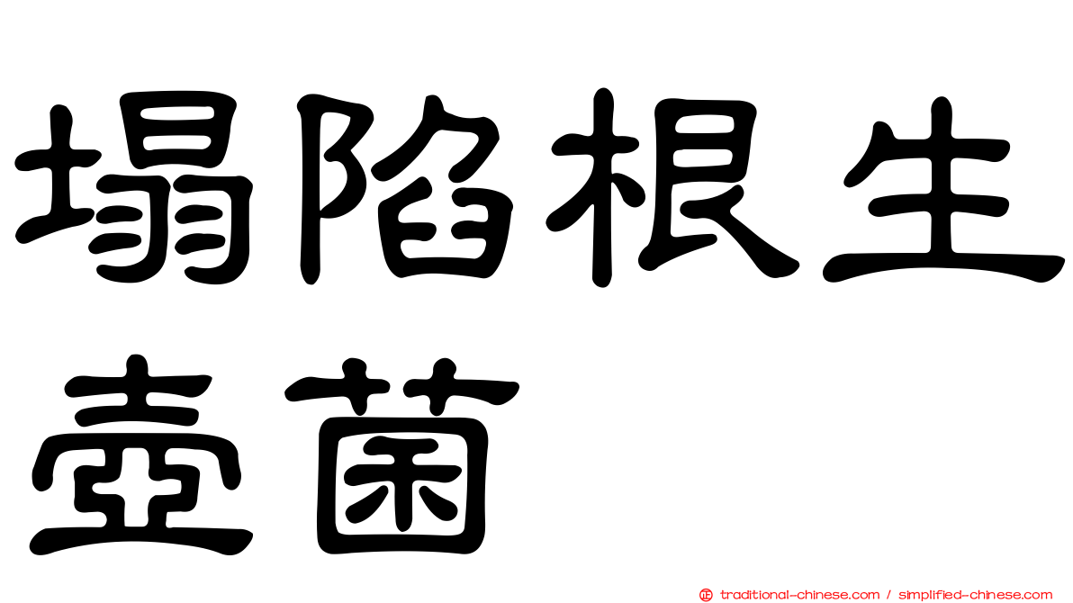 塌陷根生壺菌