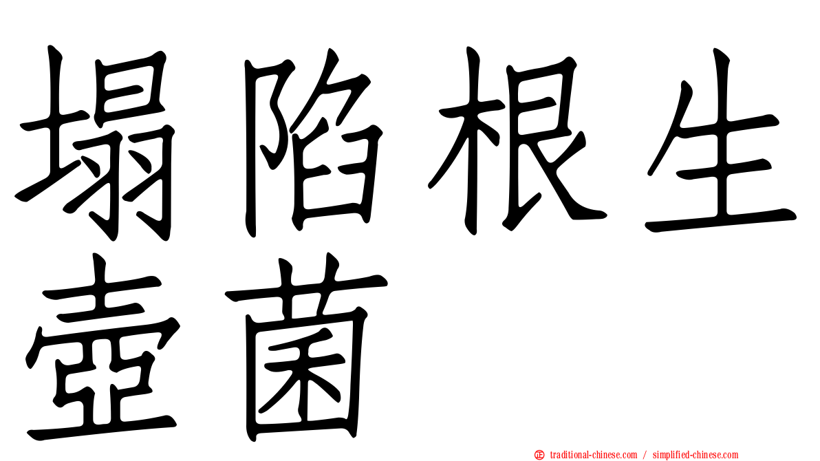 塌陷根生壺菌