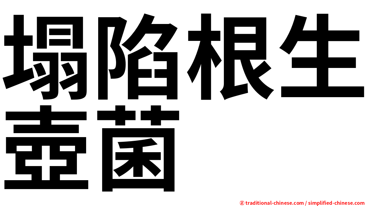 塌陷根生壺菌