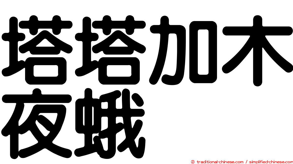 塔塔加木夜蛾