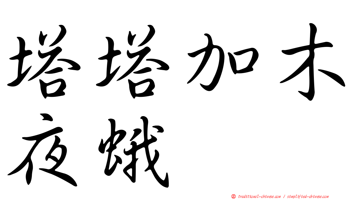 塔塔加木夜蛾