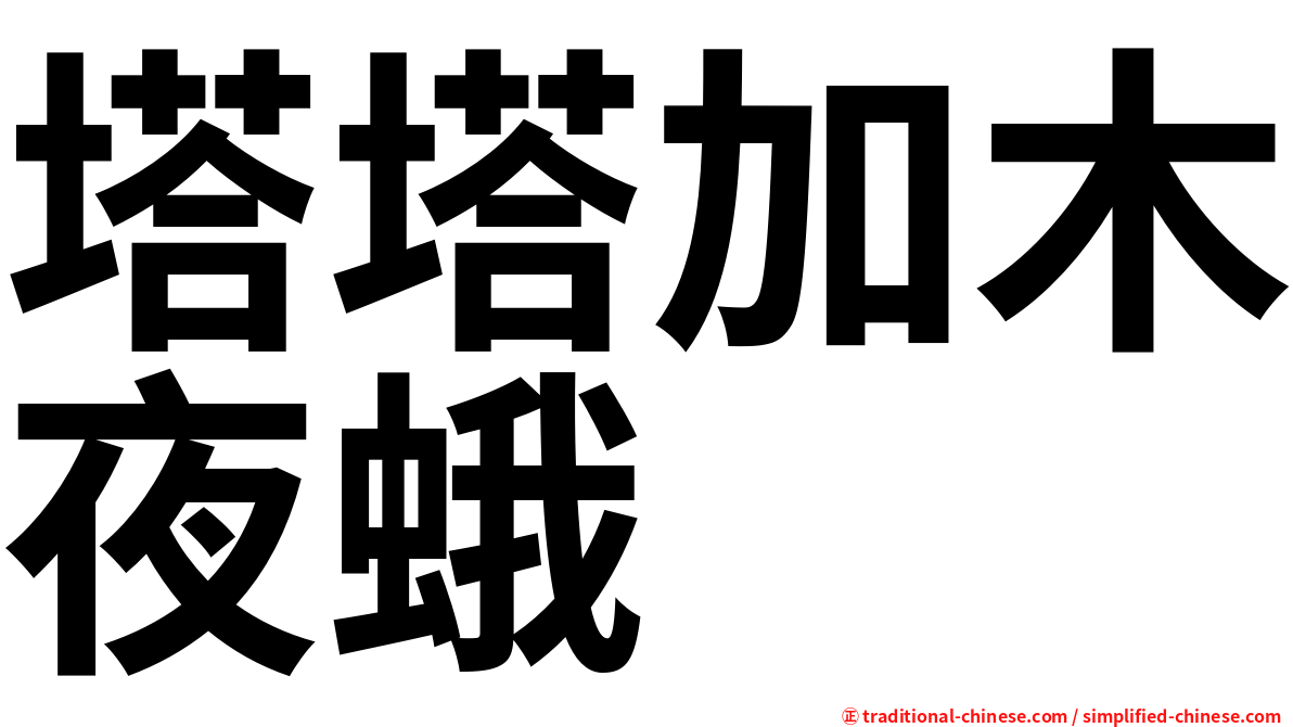 塔塔加木夜蛾