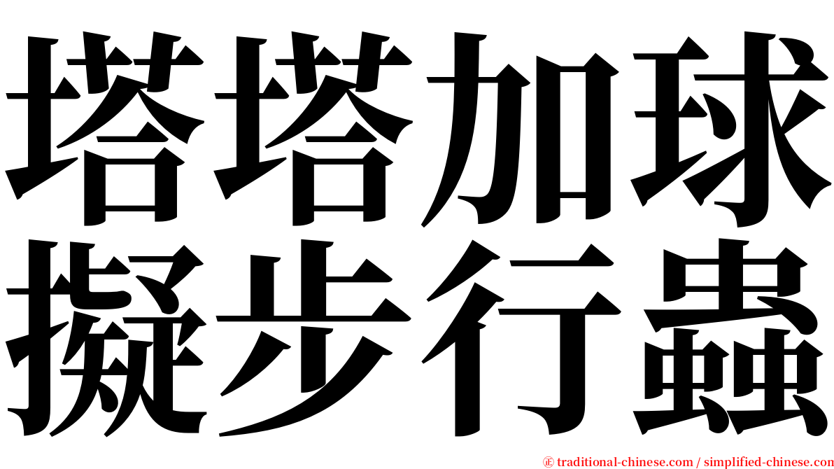 塔塔加球擬步行蟲 serif font