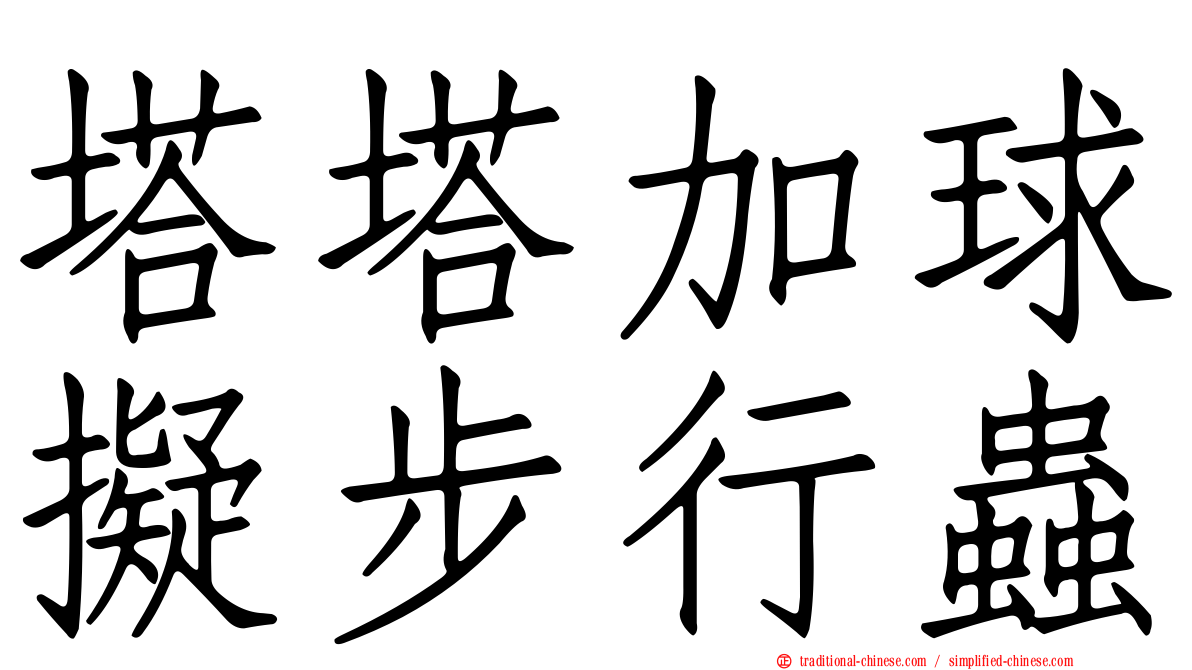 塔塔加球擬步行蟲