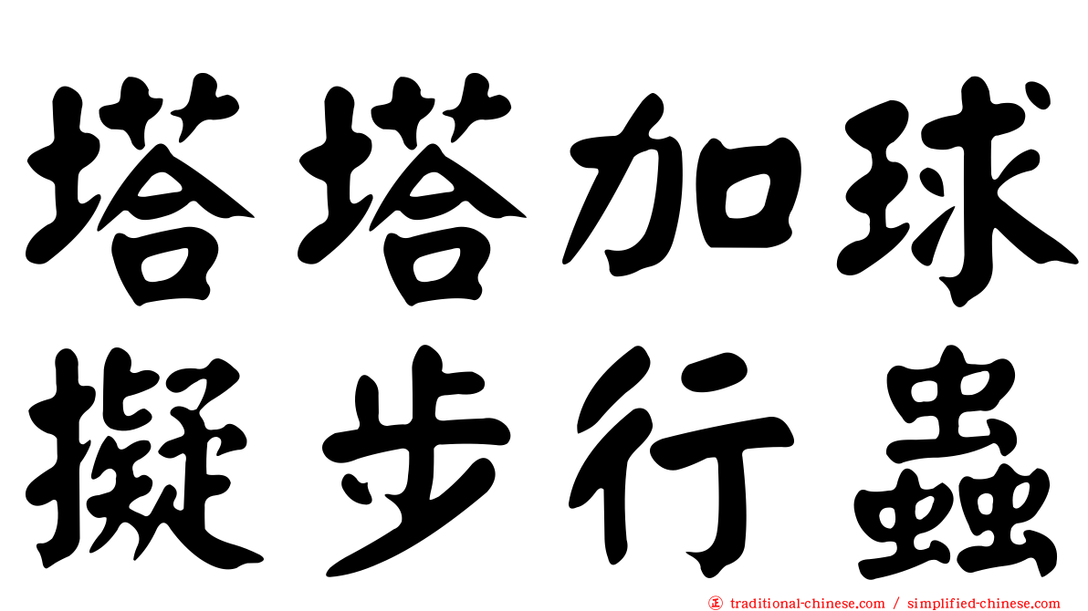塔塔加球擬步行蟲