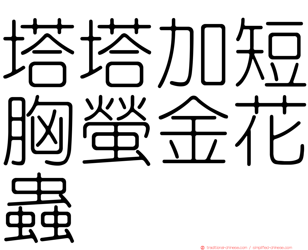 塔塔加短胸螢金花蟲
