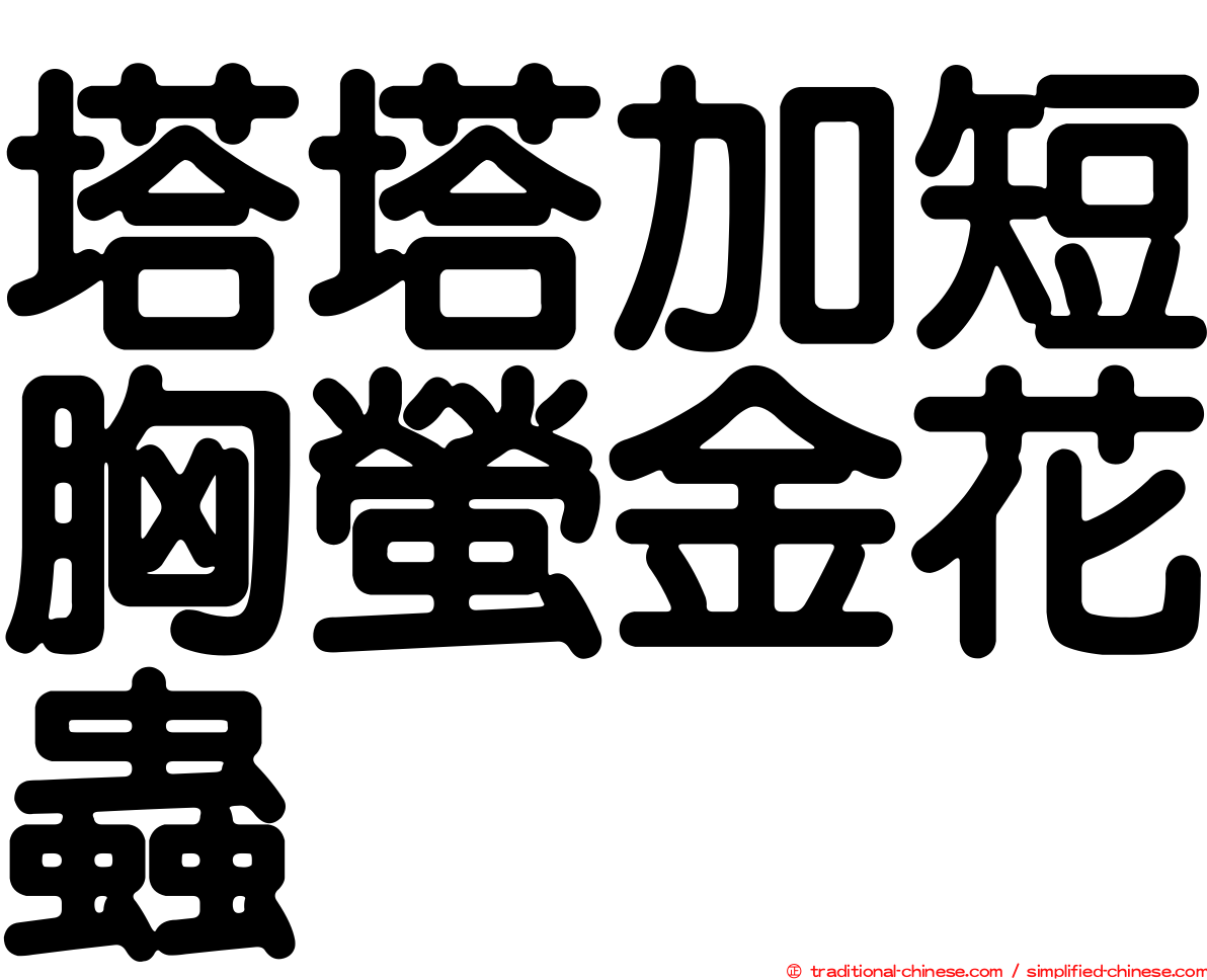 塔塔加短胸螢金花蟲