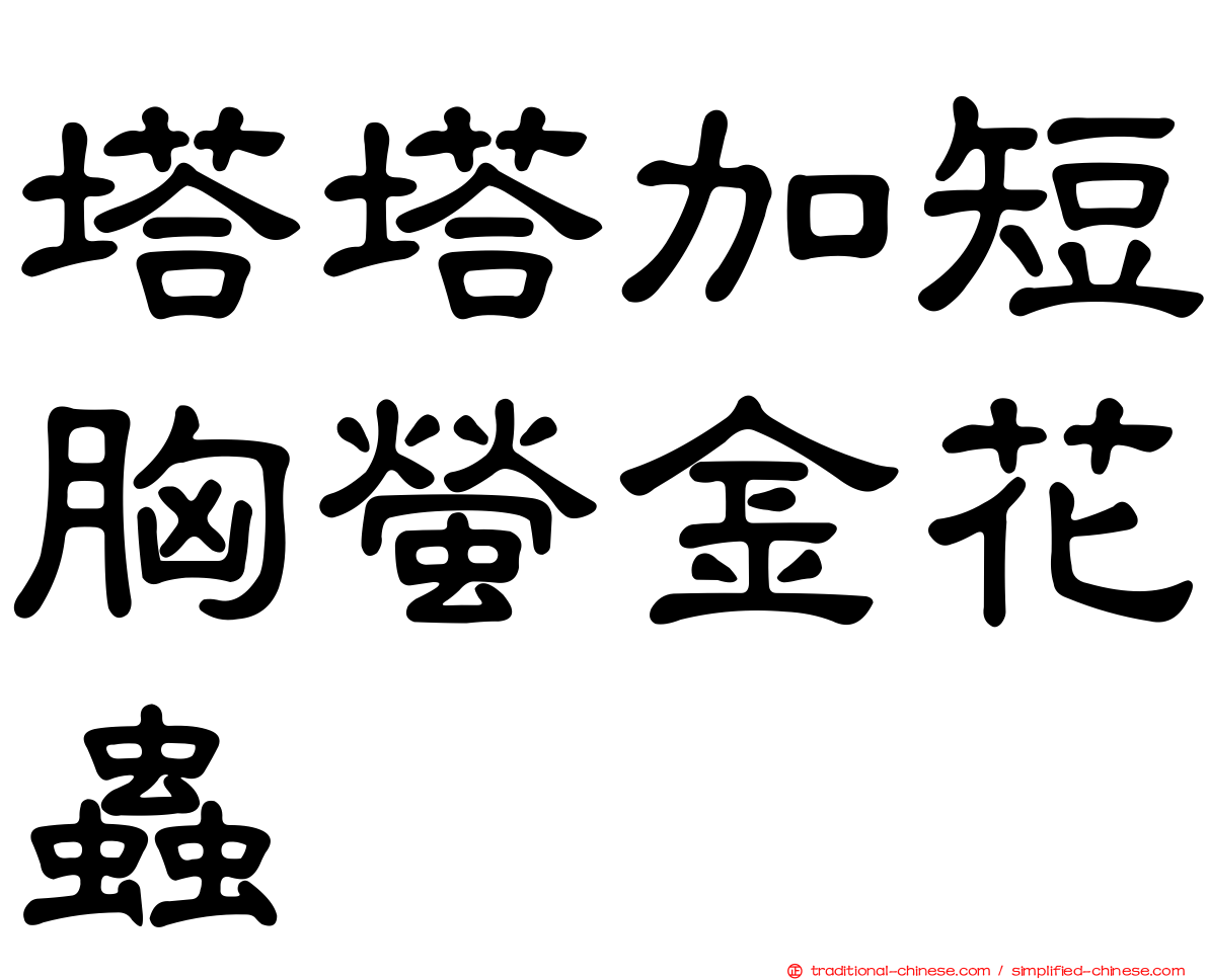 塔塔加短胸螢金花蟲