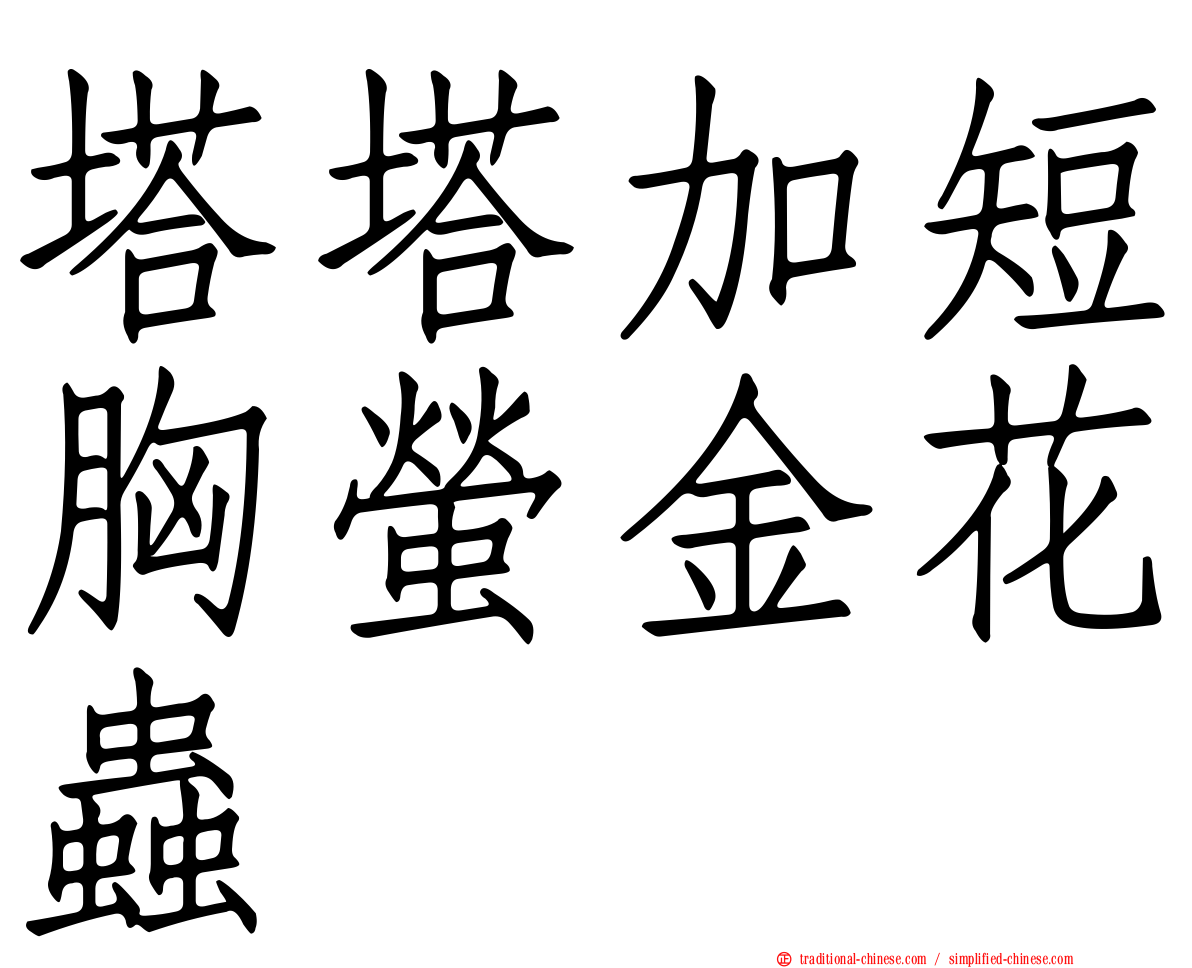 塔塔加短胸螢金花蟲