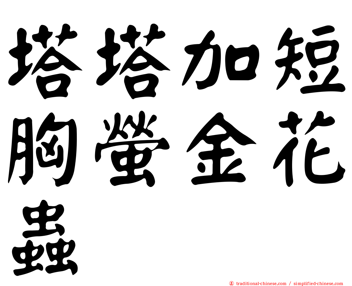 塔塔加短胸螢金花蟲