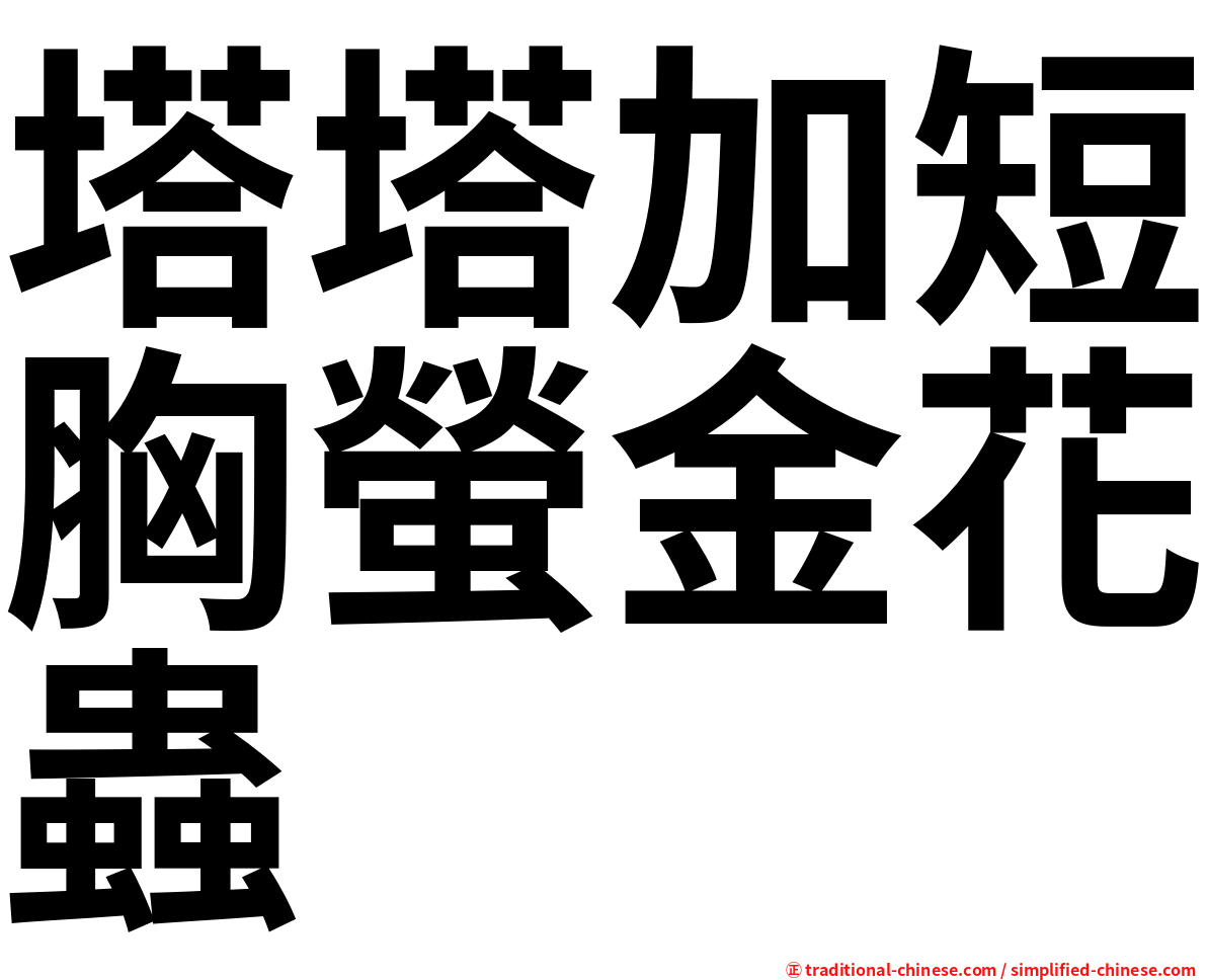 塔塔加短胸螢金花蟲