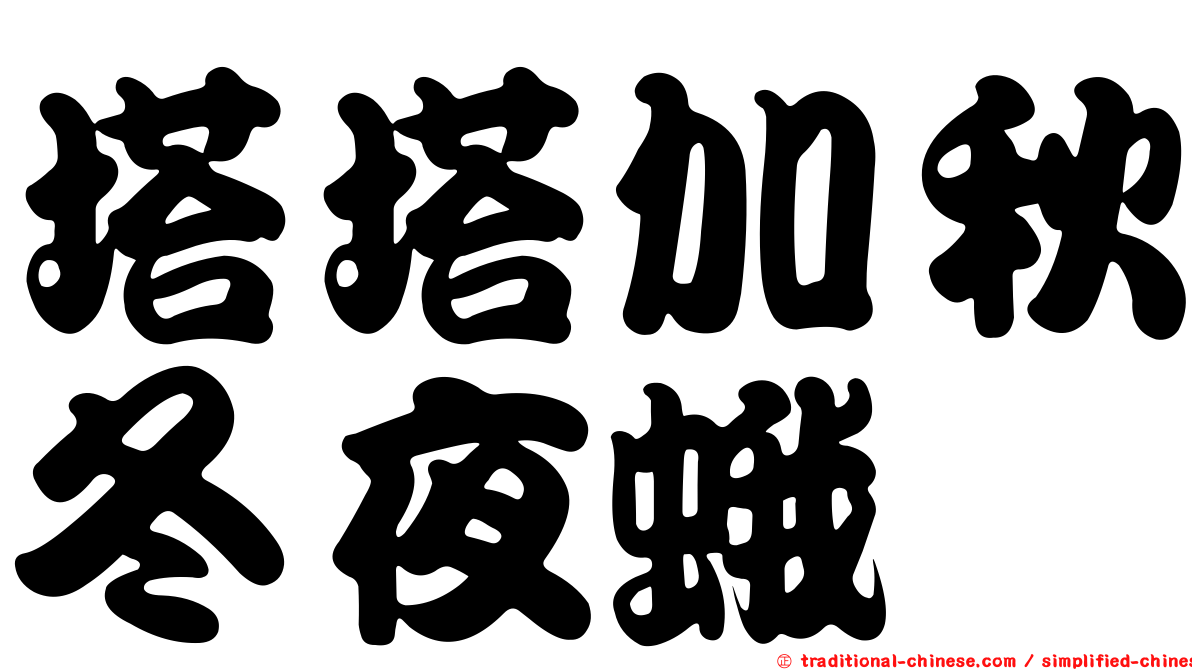 塔塔加秋冬夜蛾