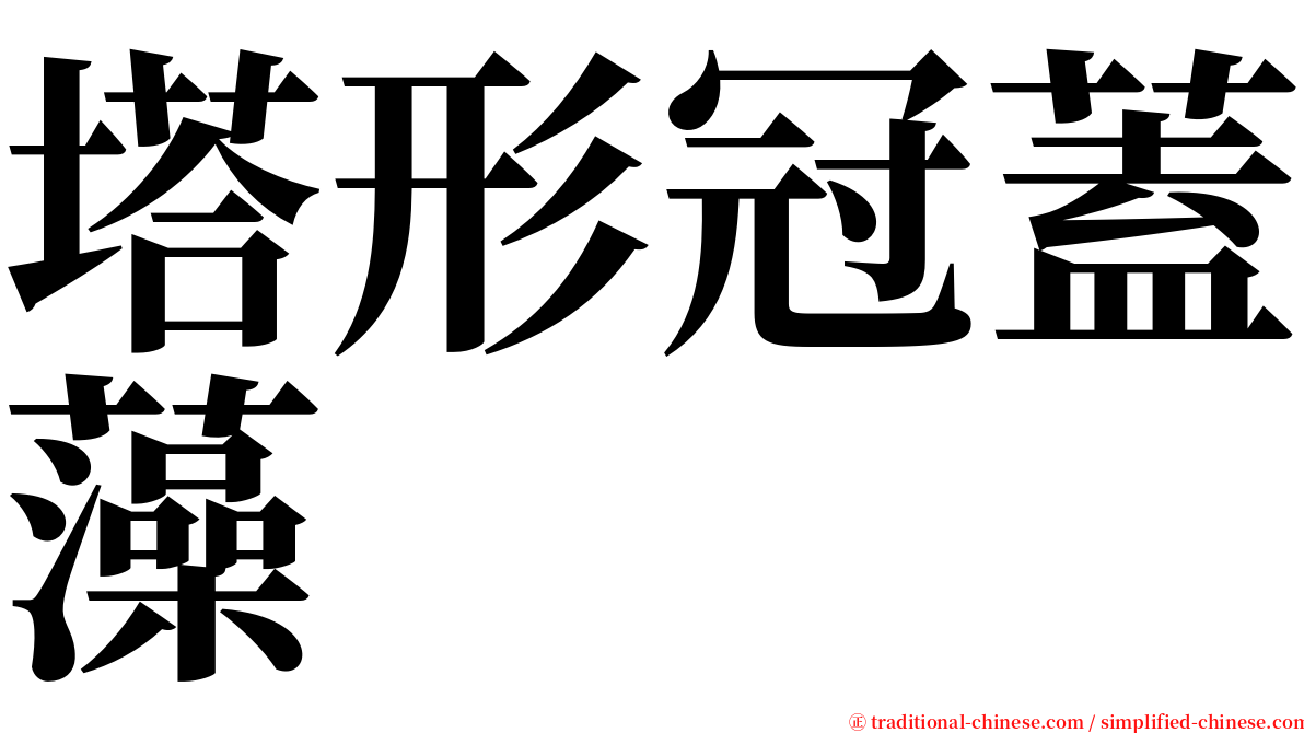 塔形冠蓋藻 serif font