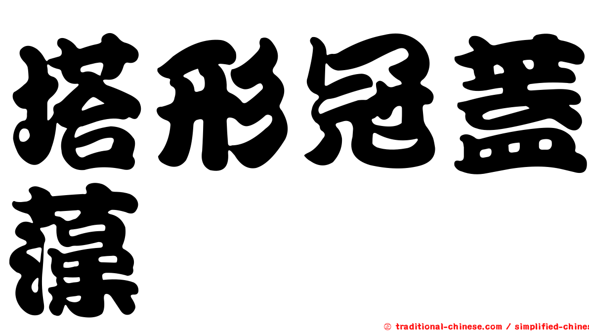 塔形冠蓋藻