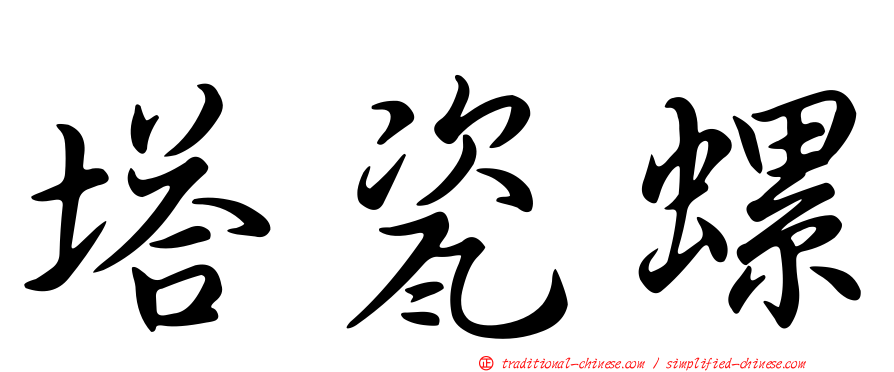 塔瓷螺