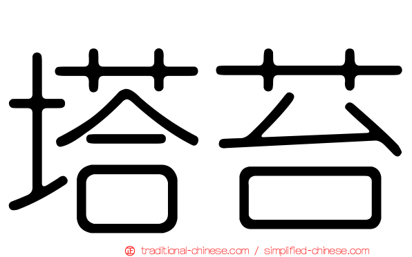 塔苔