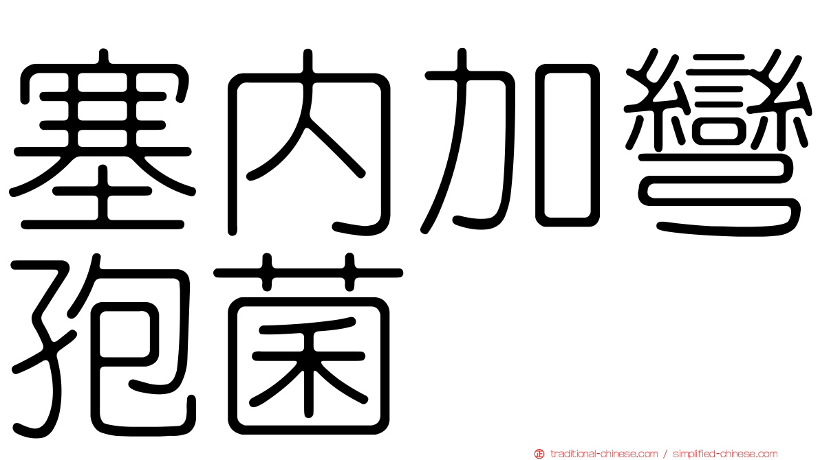 塞內加彎孢菌