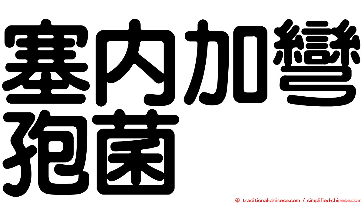 塞內加彎孢菌