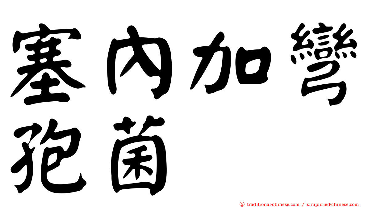 塞內加彎孢菌