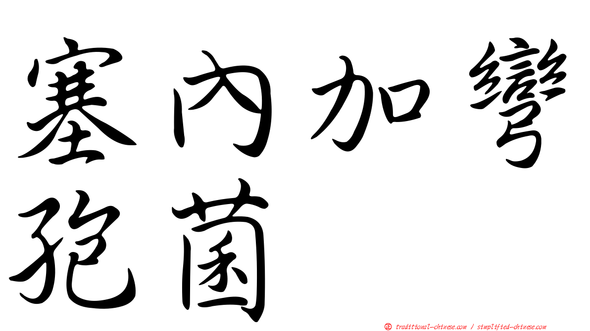 塞內加彎孢菌