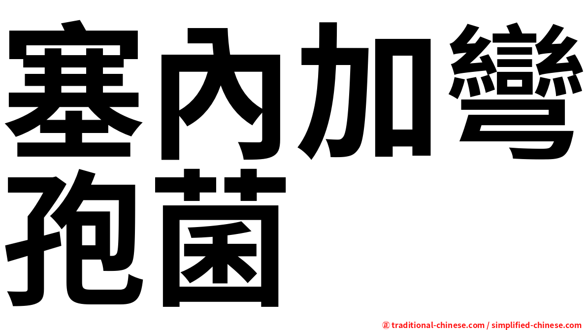 塞內加彎孢菌