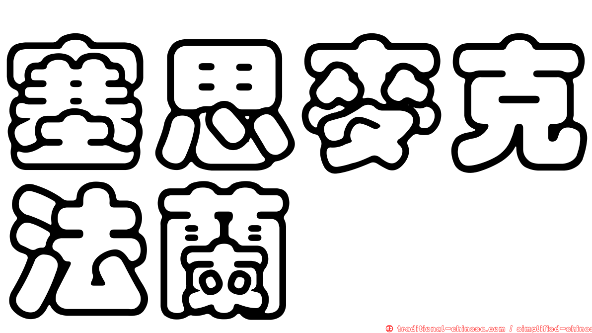塞思麥克法蘭