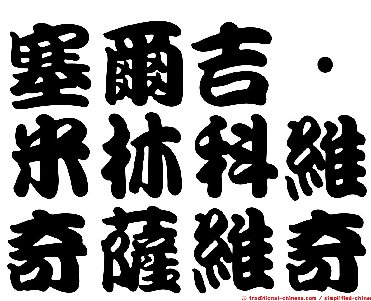 塞爾吉·米林科維奇薩維奇