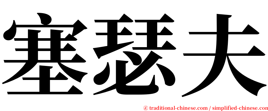 塞瑟夫 serif font