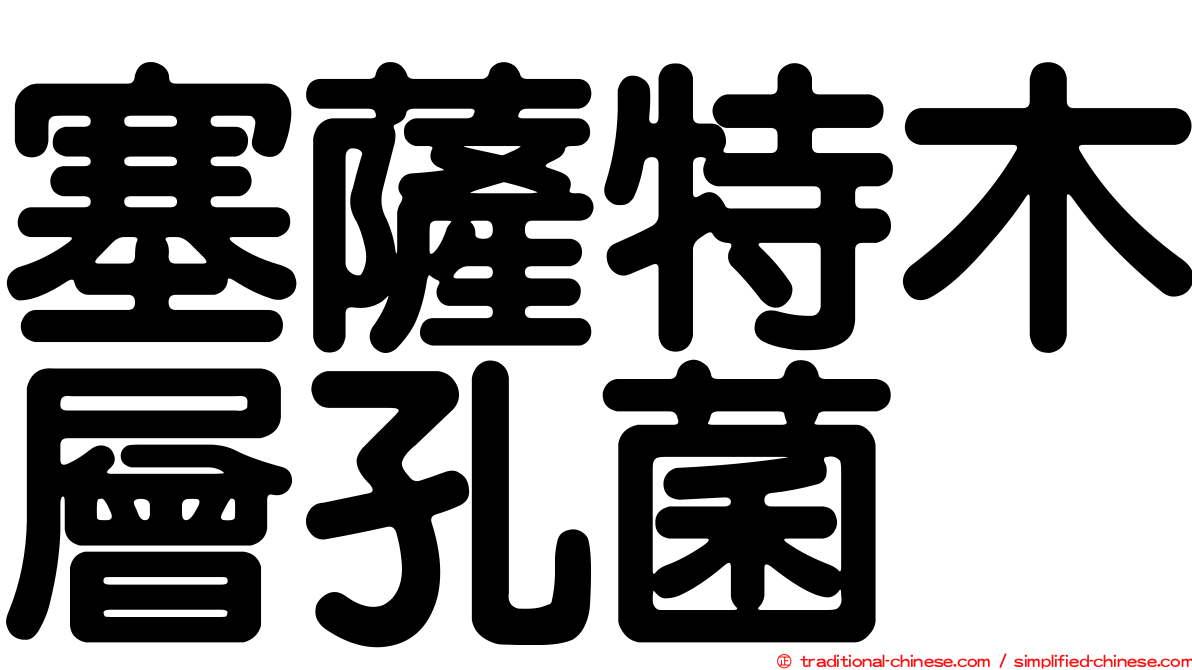 塞薩特木層孔菌