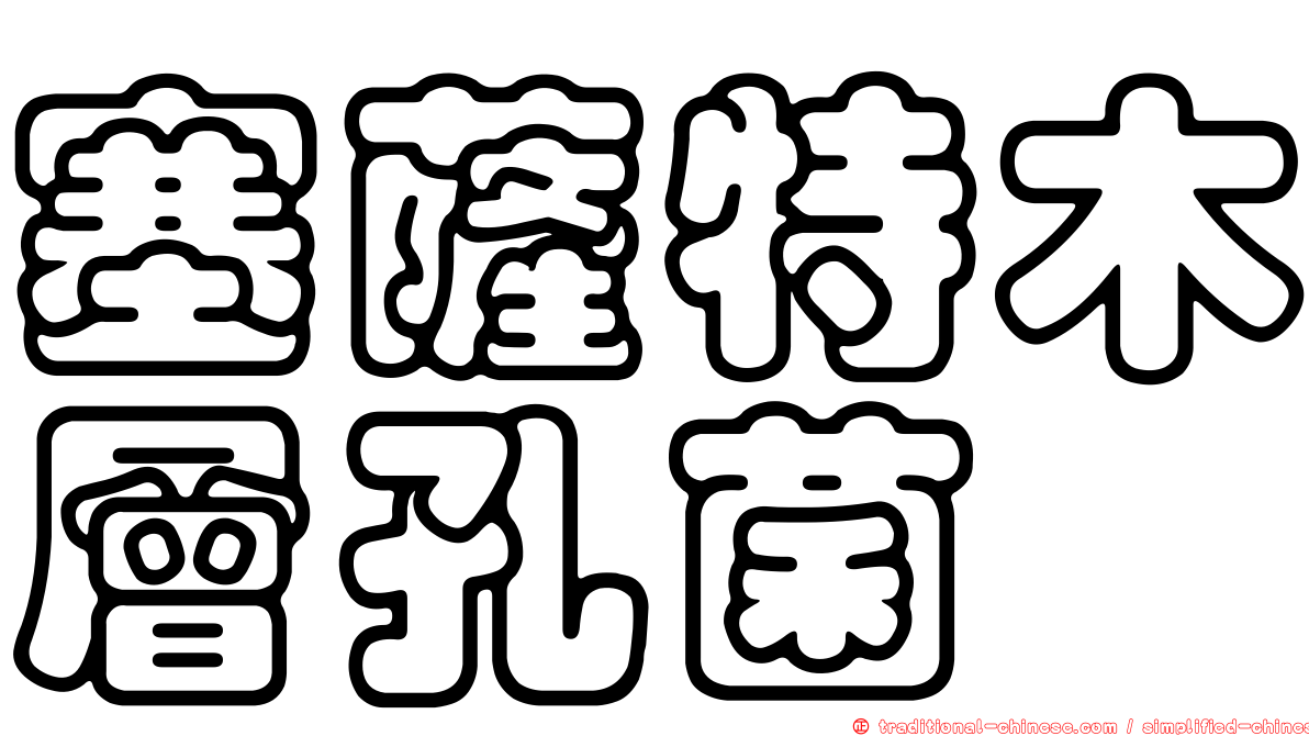 塞薩特木層孔菌