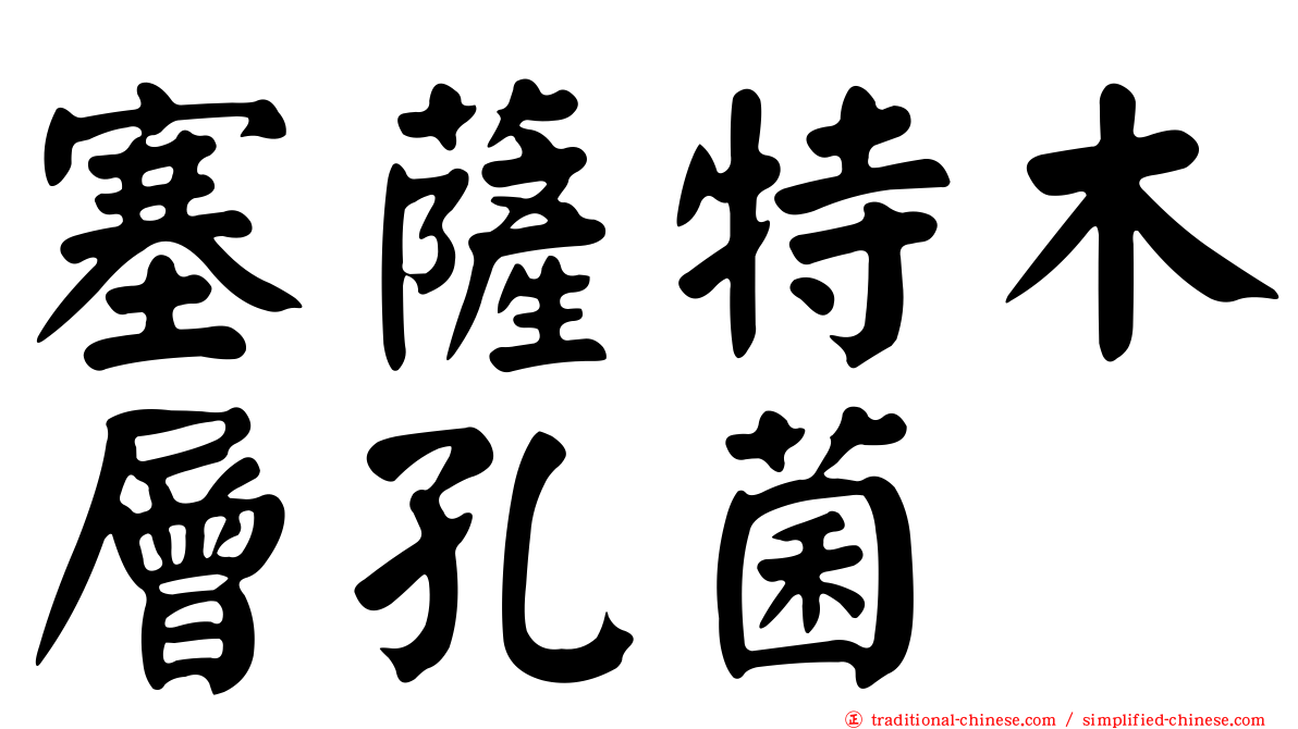 塞薩特木層孔菌