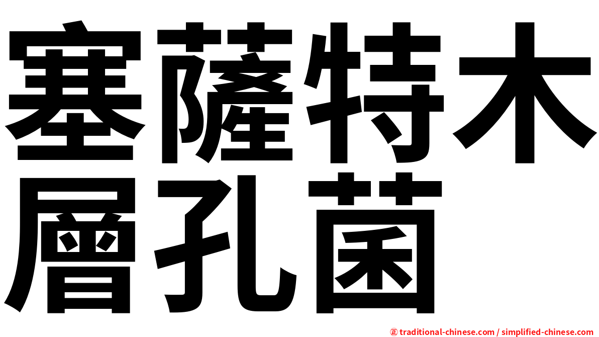 塞薩特木層孔菌