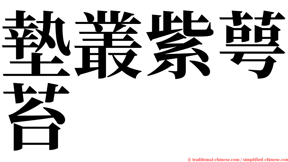 墊叢紫萼苔 serif font