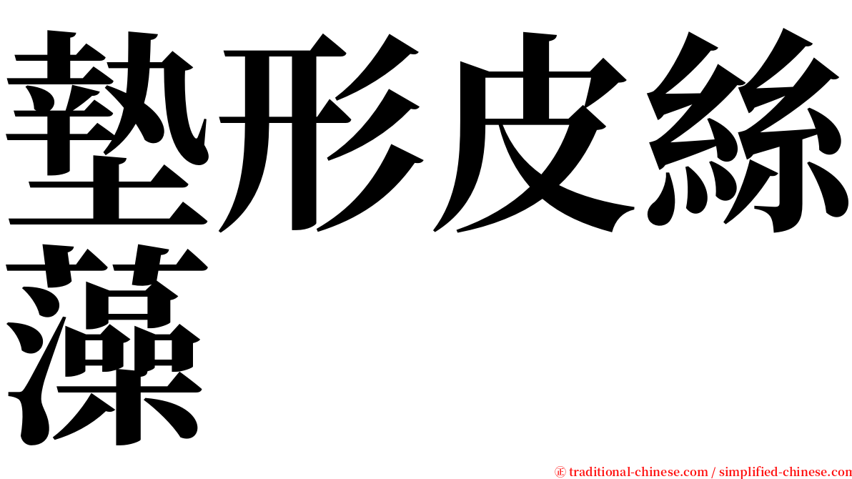 墊形皮絲藻 serif font