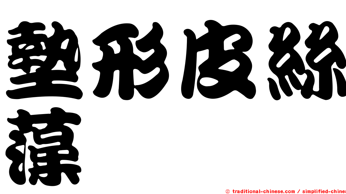 墊形皮絲藻