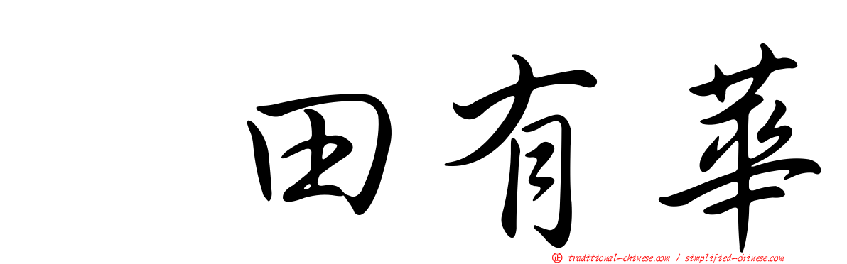 増田有華