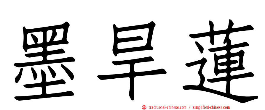 墨旱蓮