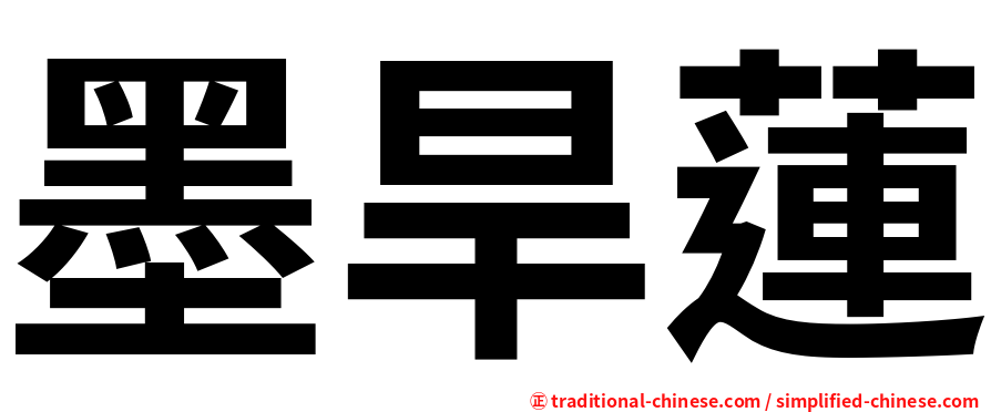 墨旱蓮
