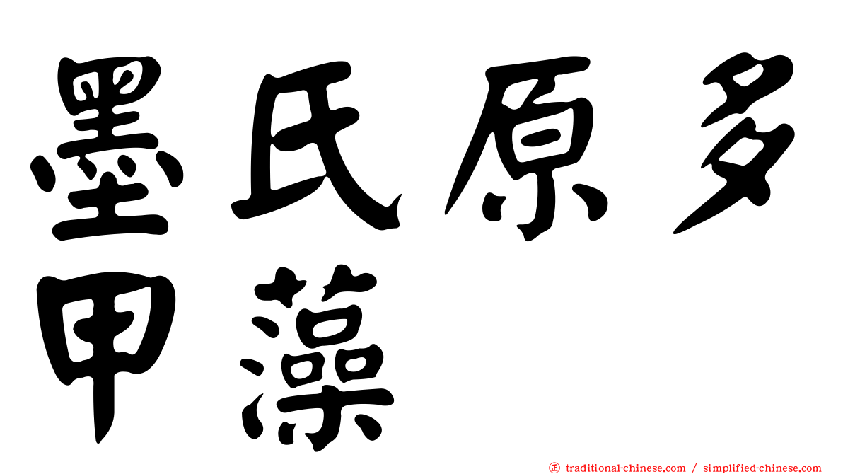 墨氏原多甲藻