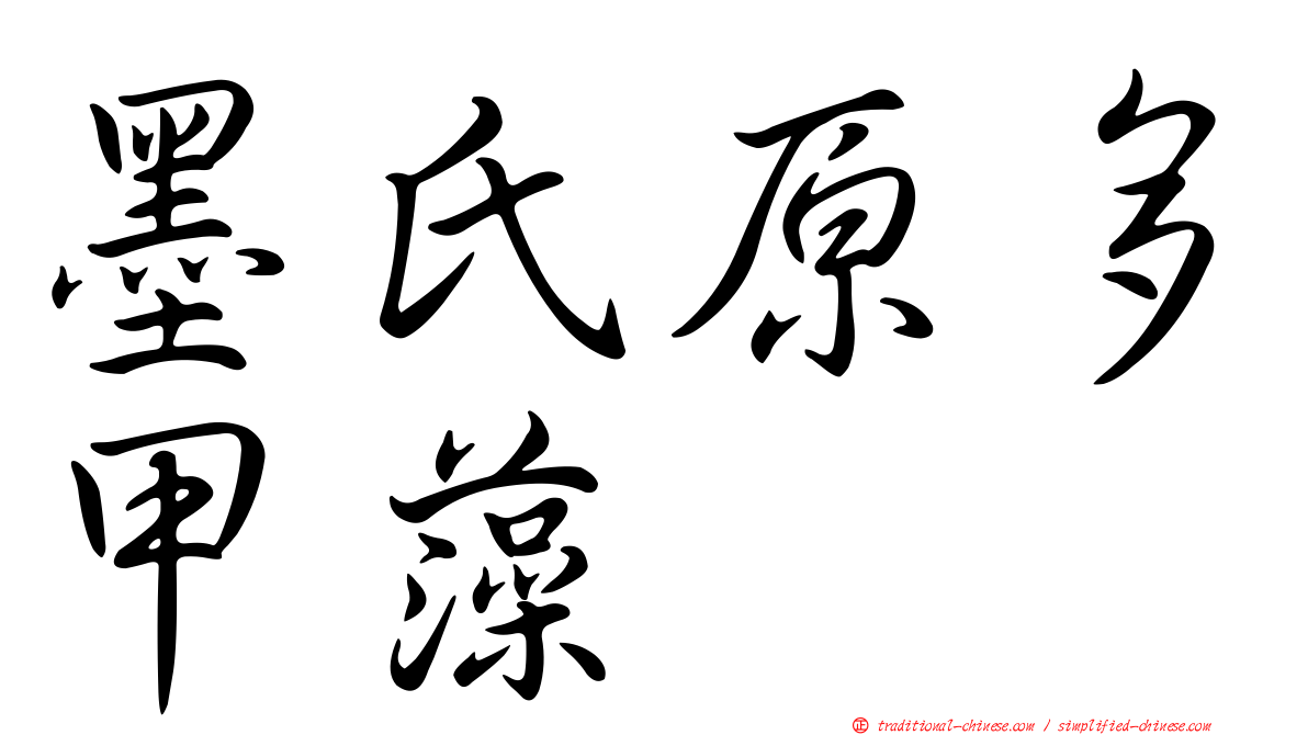 墨氏原多甲藻