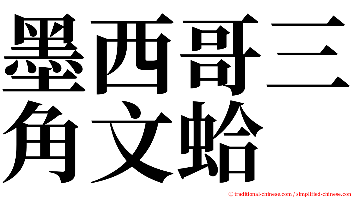 墨西哥三角文蛤 serif font