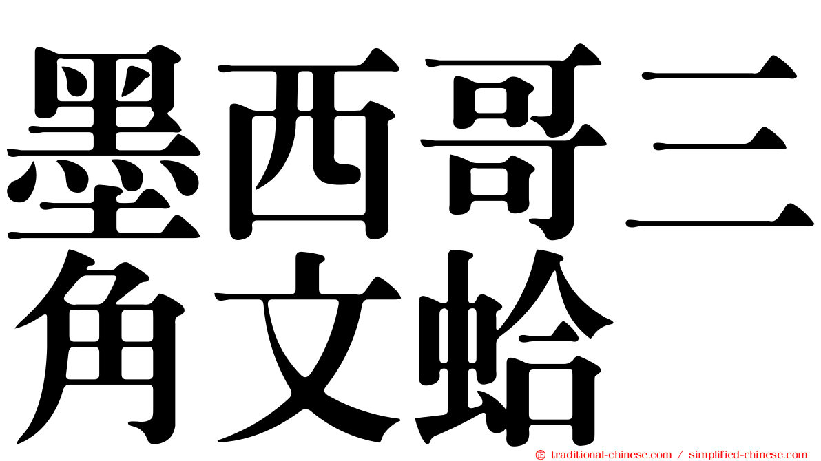 墨西哥三角文蛤