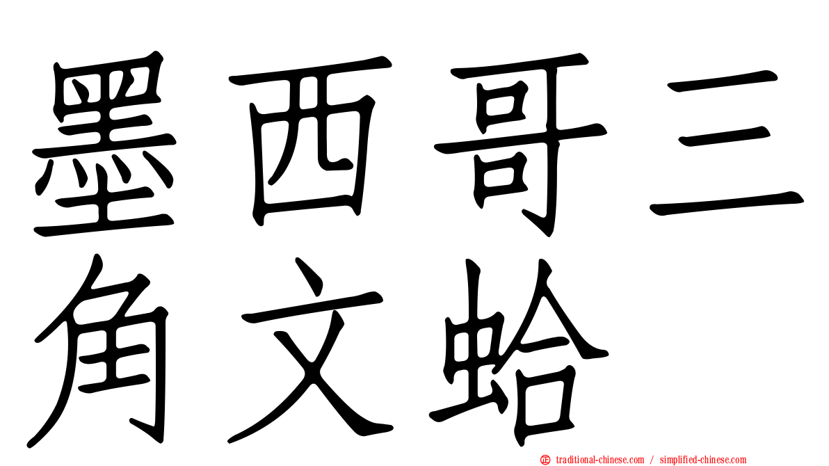 墨西哥三角文蛤