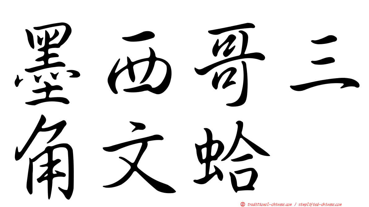 墨西哥三角文蛤