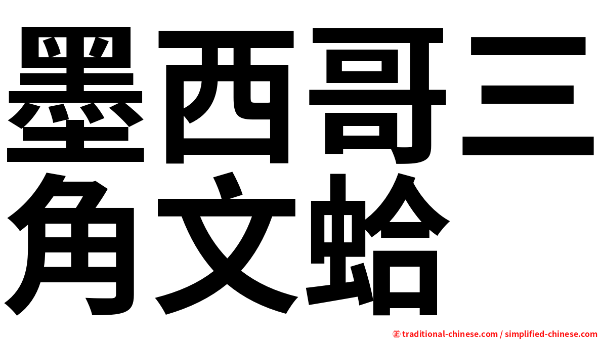 墨西哥三角文蛤