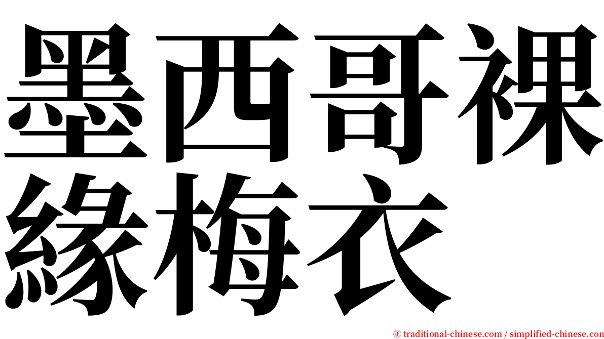 墨西哥裸緣梅衣 serif font